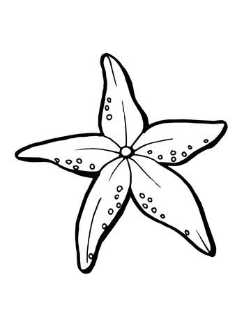 Realistic Starfish Coloring Page